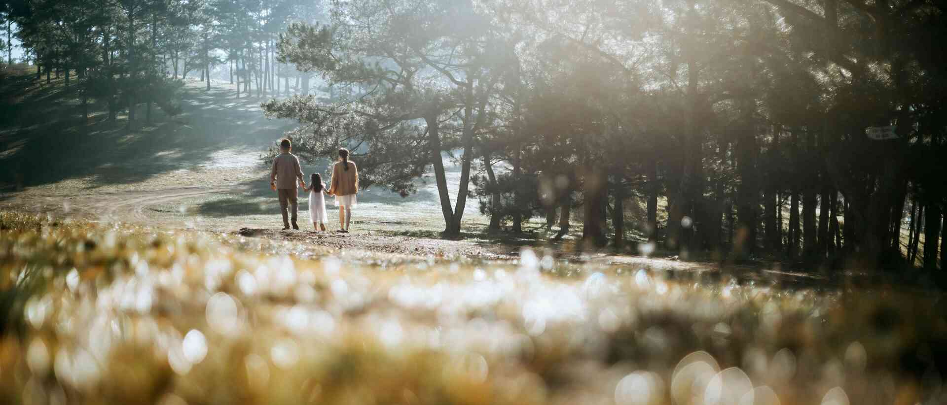 Verwaltungsgemeinschaft Heßdorf Startseite Verwaltungsgemeinschaft