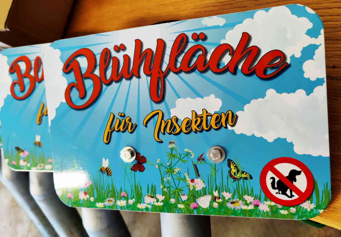 Blühfläche für Insekten