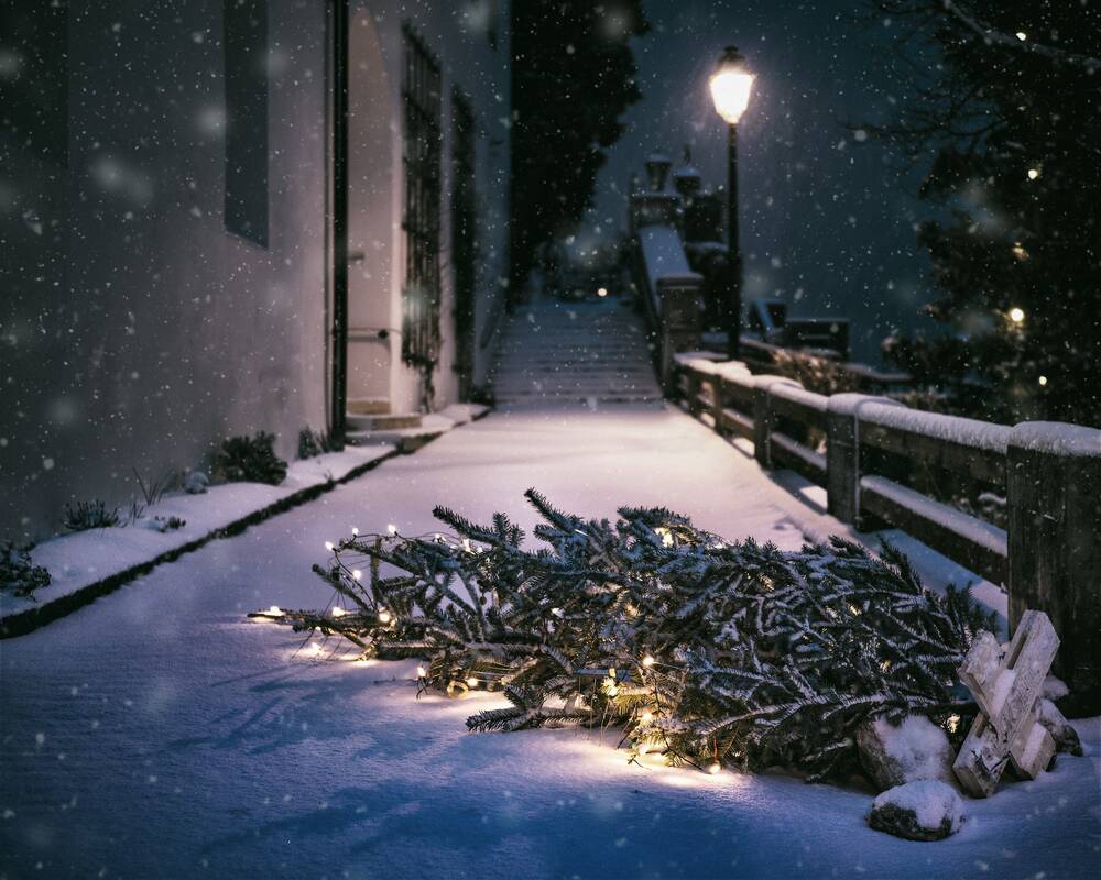 Weihnachtsbaum zur Entsorgung