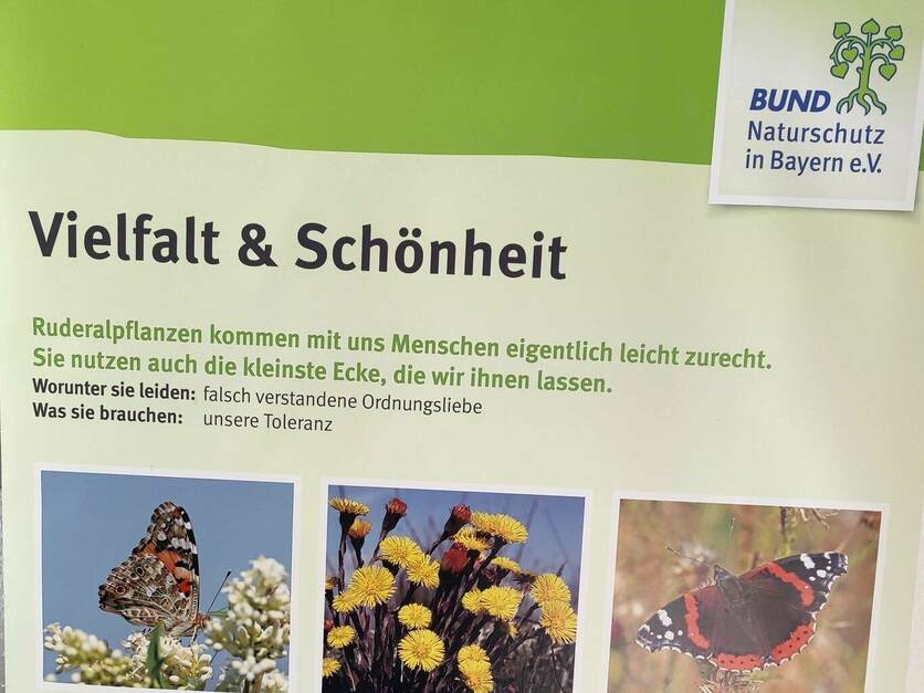BUND Naturschutz - Ausstellung Wildpflanzen Rathaus Heßdorf - Vielfalt & Schönheit