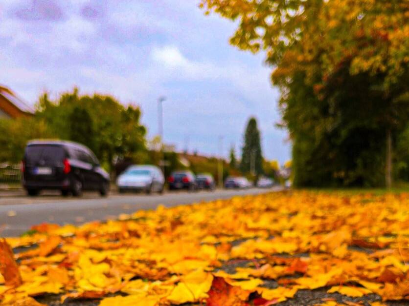 Gehweg mit Herbstlaub