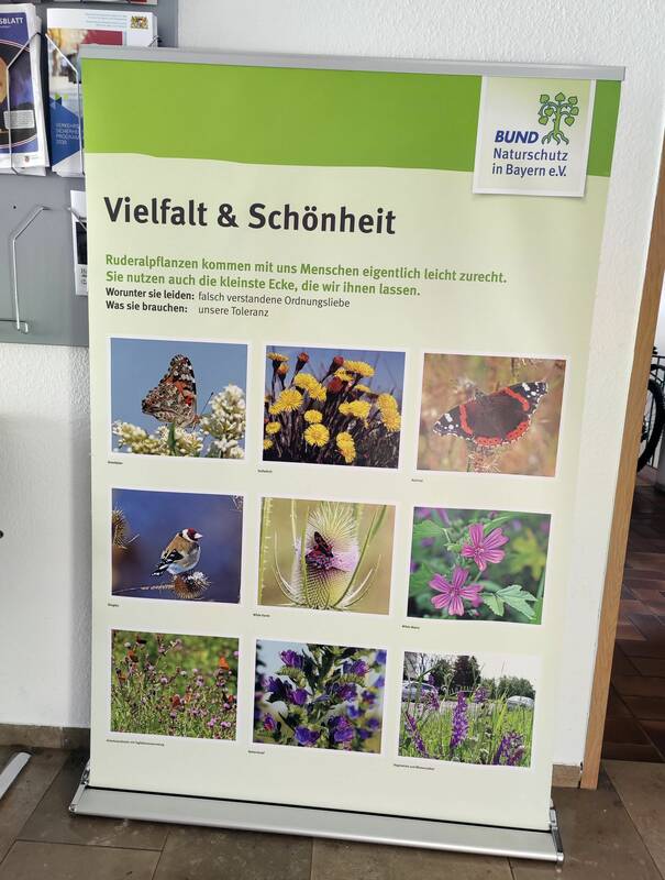 BUND Naturschutz - Ausstellung Wildpflanzen Rathaus Heßdorf - Vielfalt & Schönheit