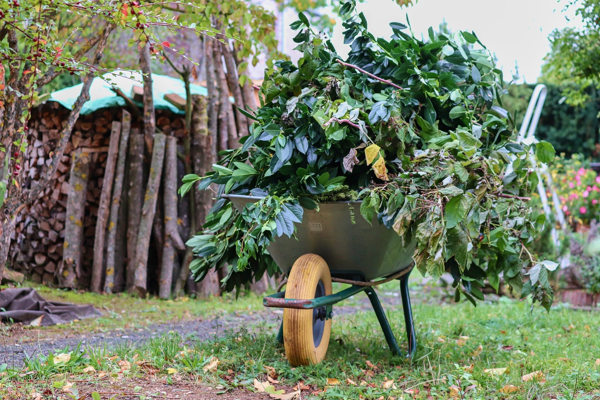 Grüngut Grünschnitt Gartenabfall (Symbolbild)